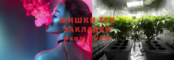 ПСИЛОЦИБИНОВЫЕ ГРИБЫ Аркадак